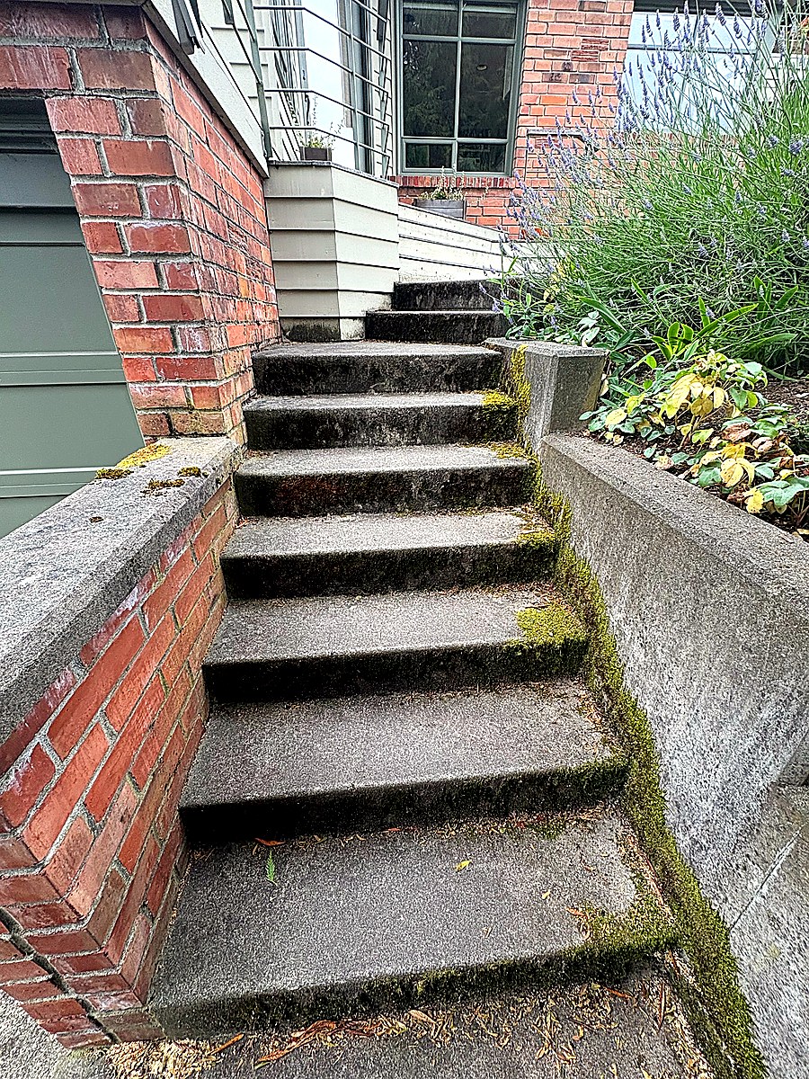 Concrete staircase covered in moss before cleaning