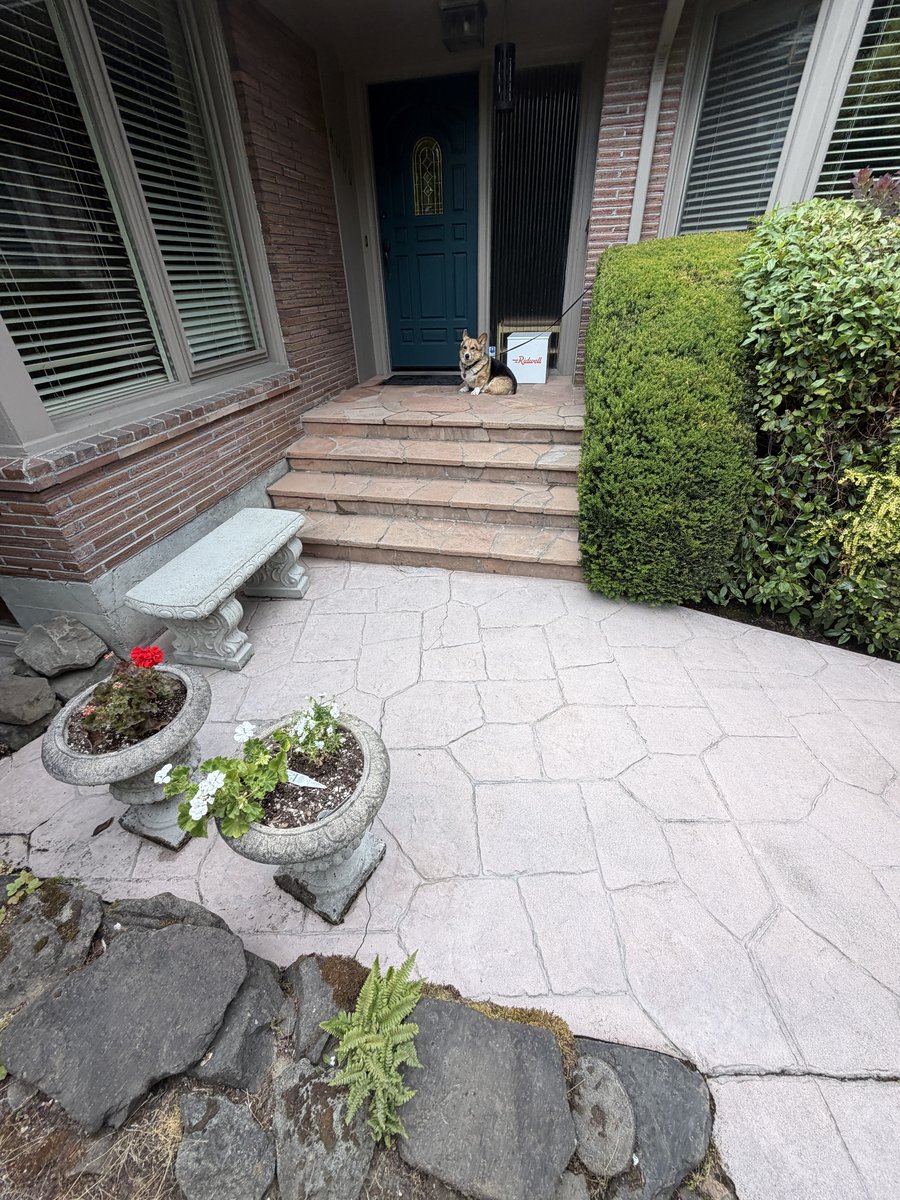 Front entry stamped concrete after cleaning