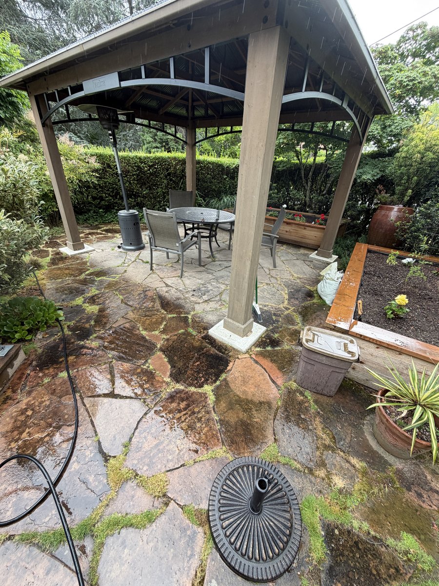 Flagstone patio before cleaning
