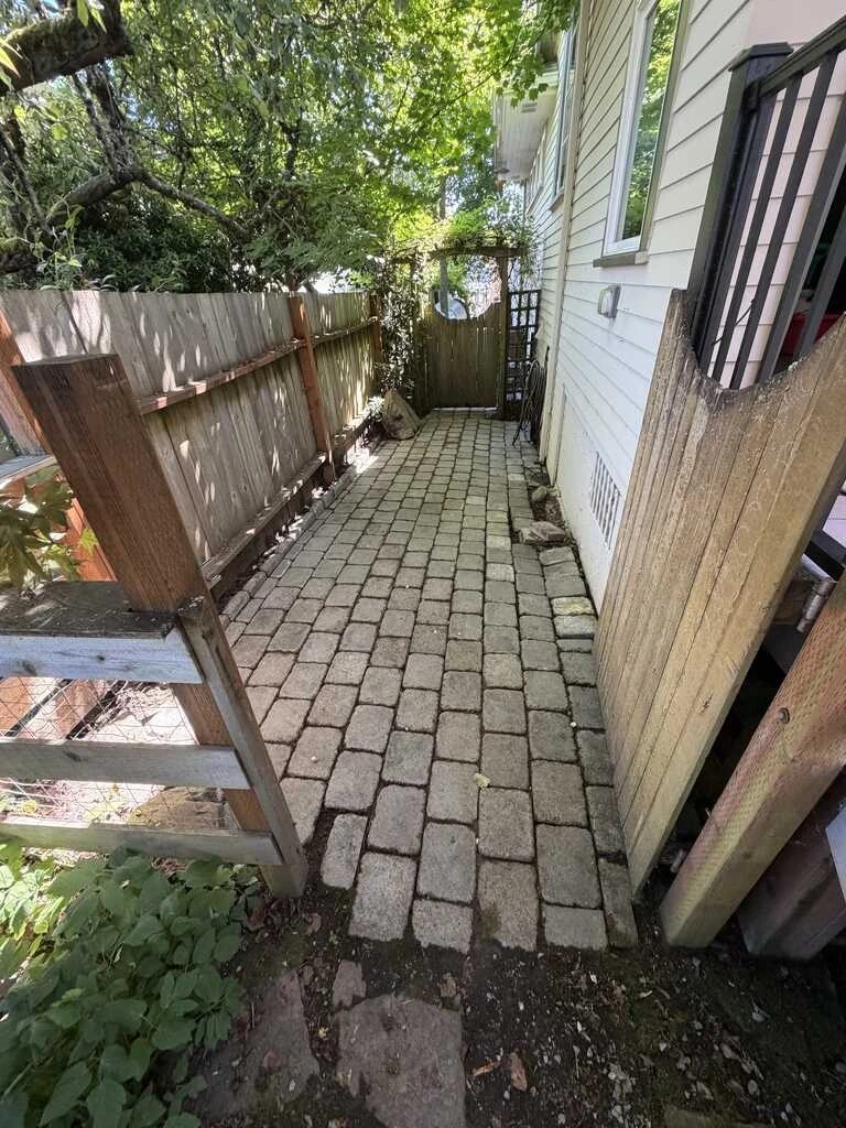Patio after cleaning