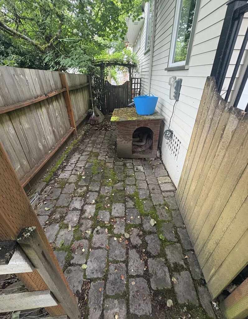 Patio before cleaning