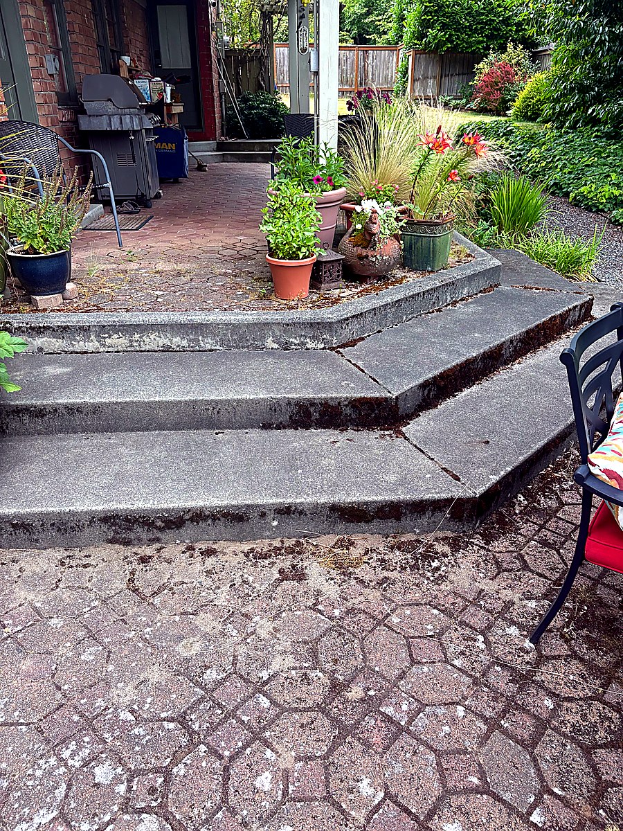 Patio steps covered in moss and grime before cleaning