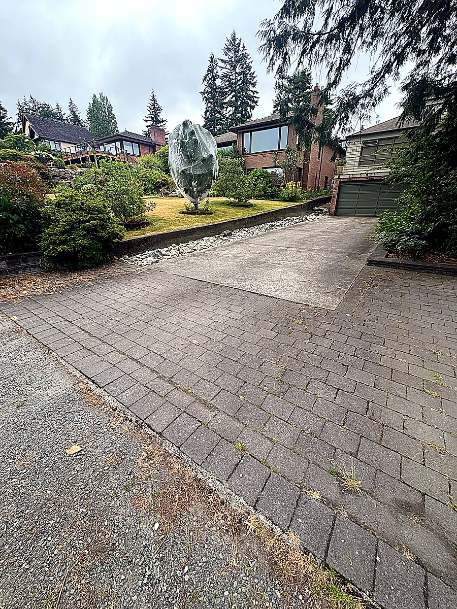 Paver driveway with weedy joints before polymeric sand