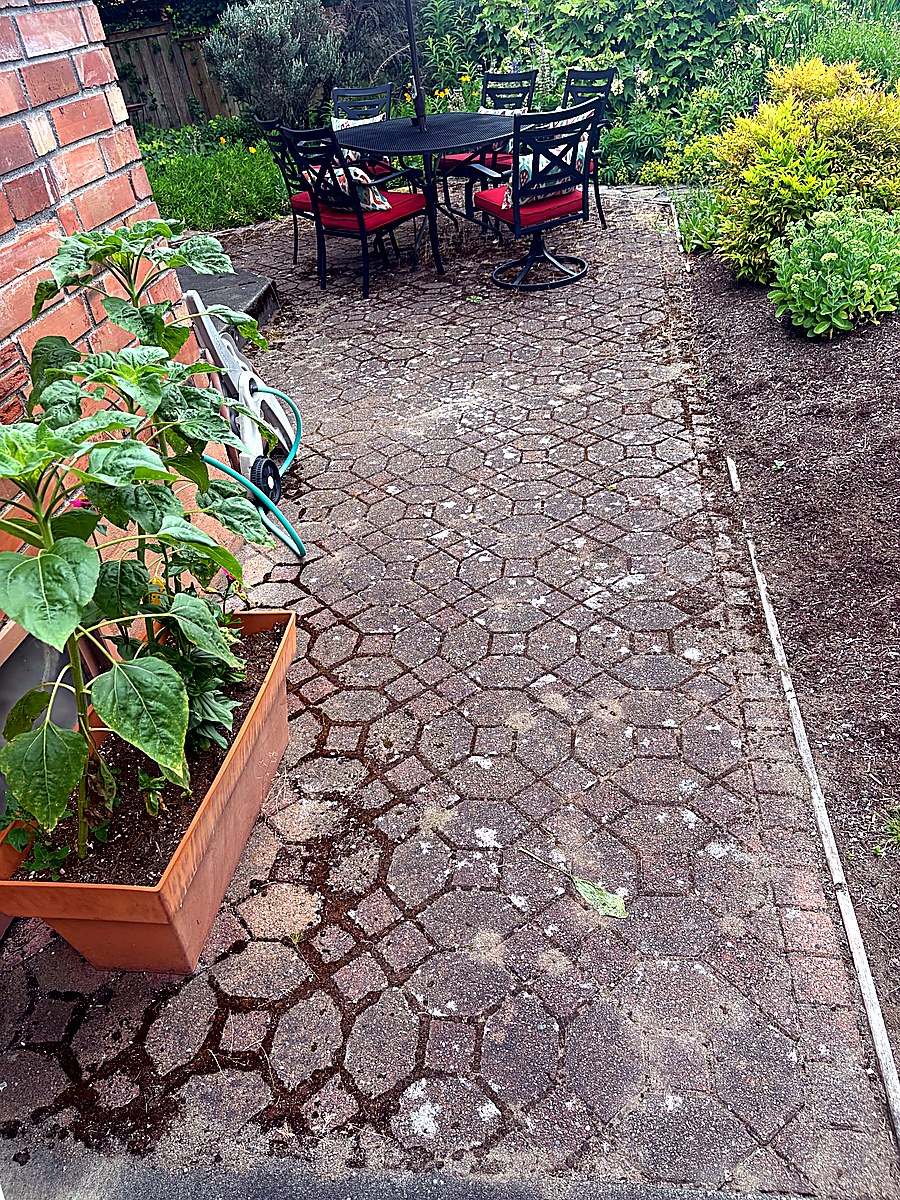 Paver patio before cleaning