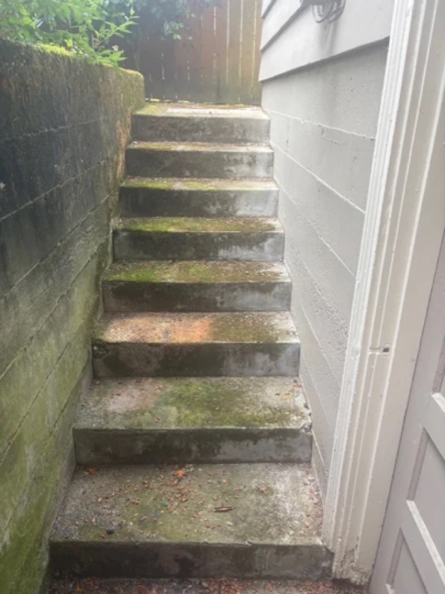 Exterior concrete steps before cleaning