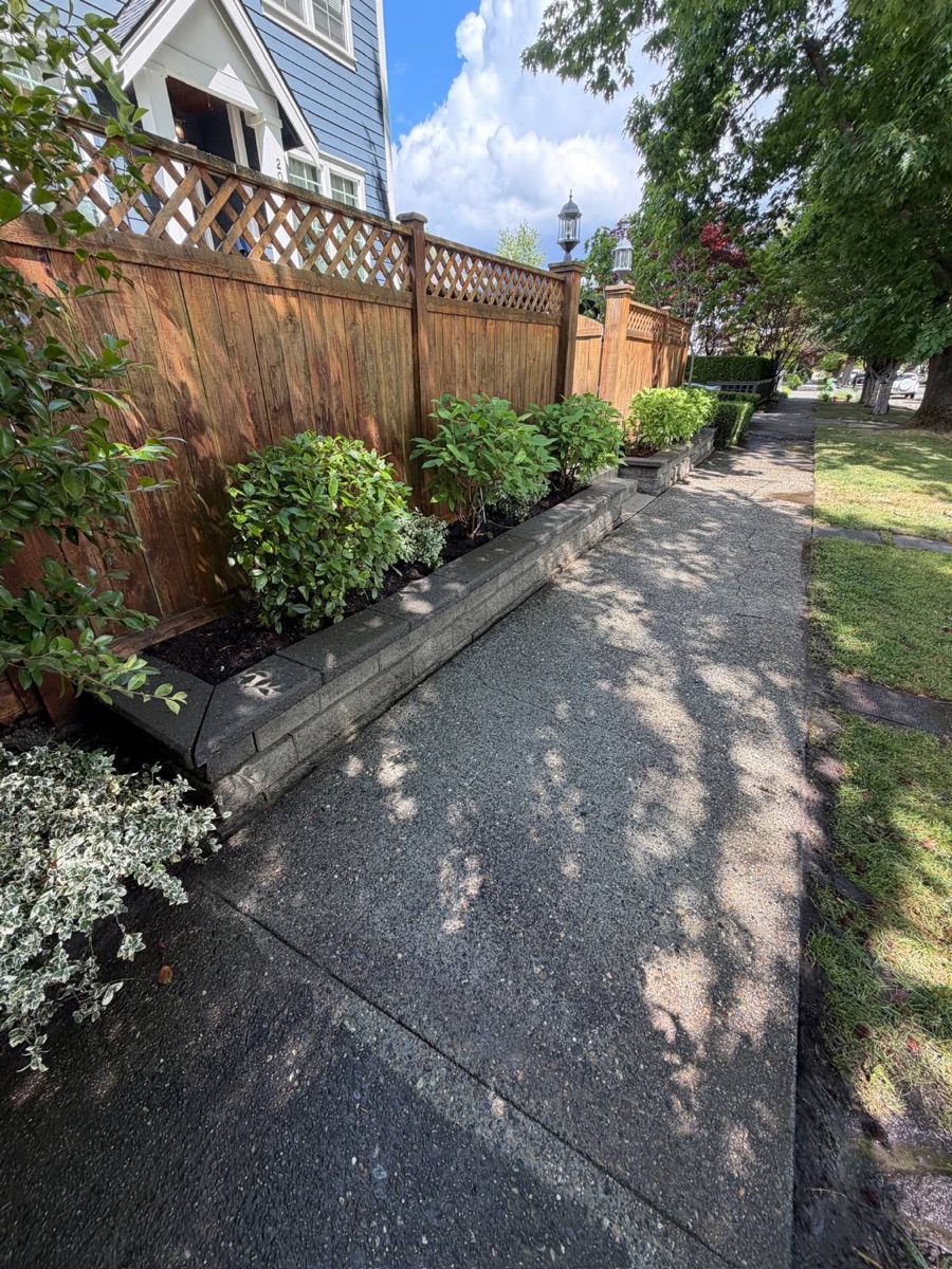 Sidewalk after cleaning