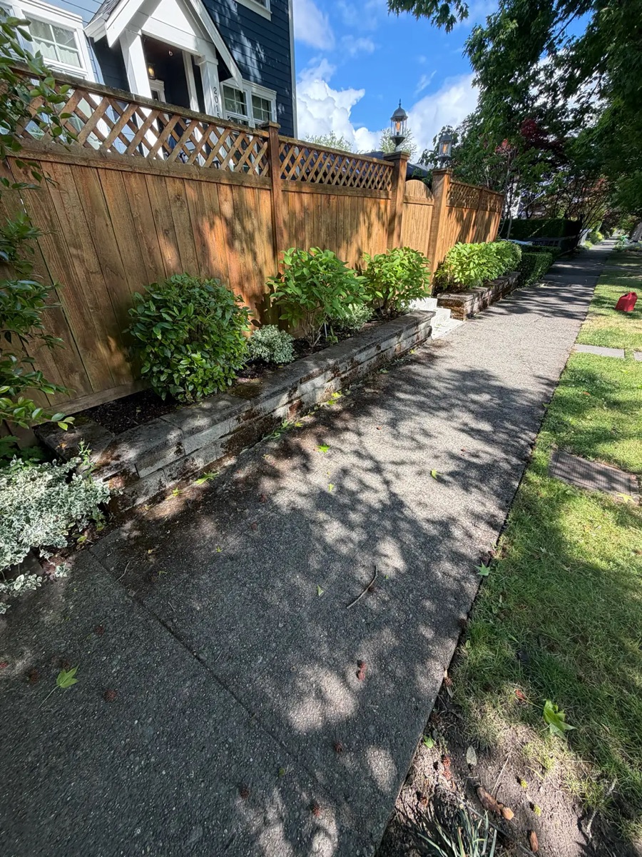 Sidewalk before cleaning