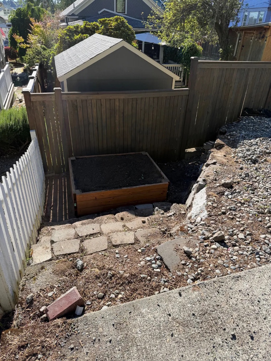 Cleared yard after cleanup